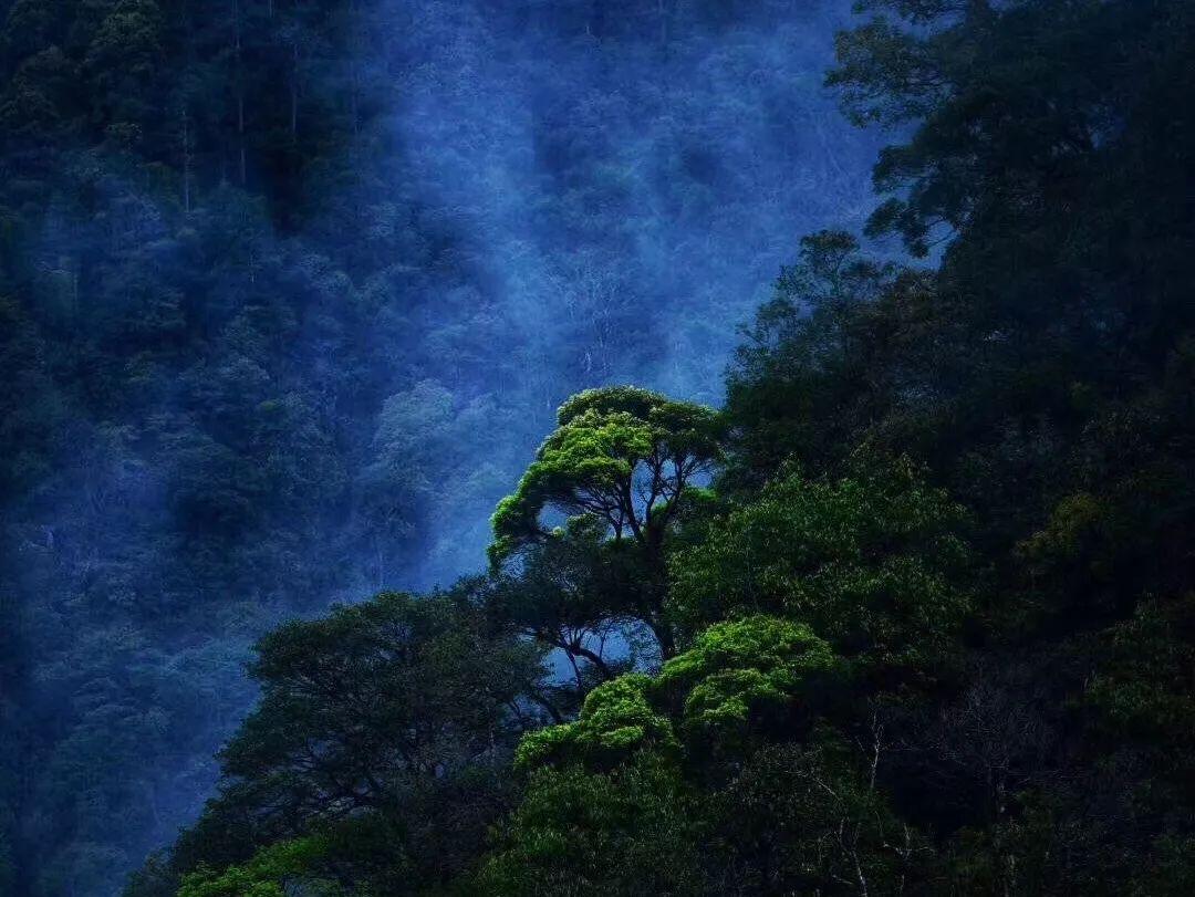 意媒:米兰和拉齐奥有意拉法-席尔瓦,球员与本菲卡合同今夏到期